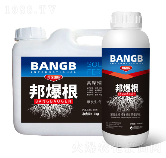 ����ֳ��ˮ�ܷ���-���-����H