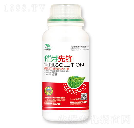 �߶˲��~�I(y��ng)�B(y��ng)������-��ѿ���h-��|ֲ��-ʥ��ʘI(y��)