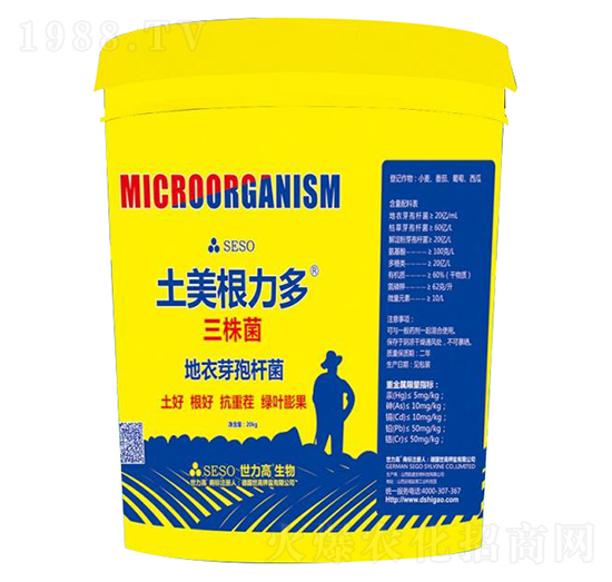 ����������-����������