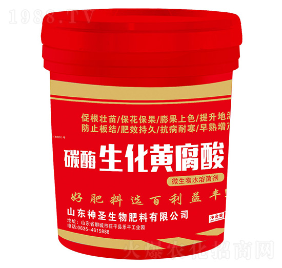 �f(w��n)�A��̼ø�����S����-��ʥ����