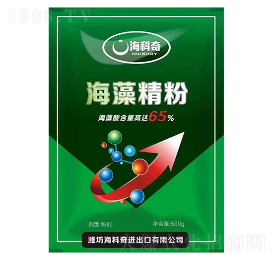 ���徫��-������