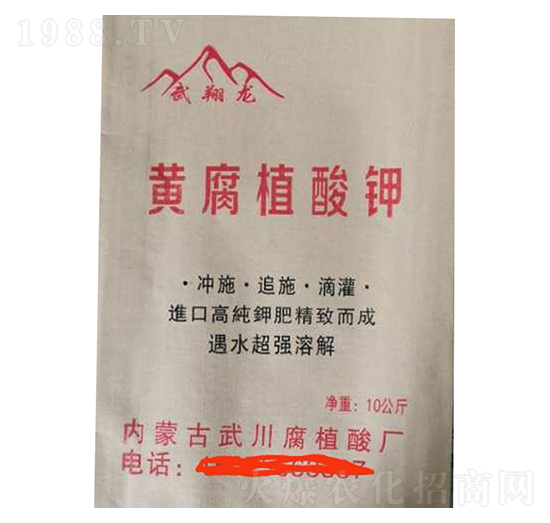 �S��ֲ���-������-���r(n��ng)�ʘI(y��)