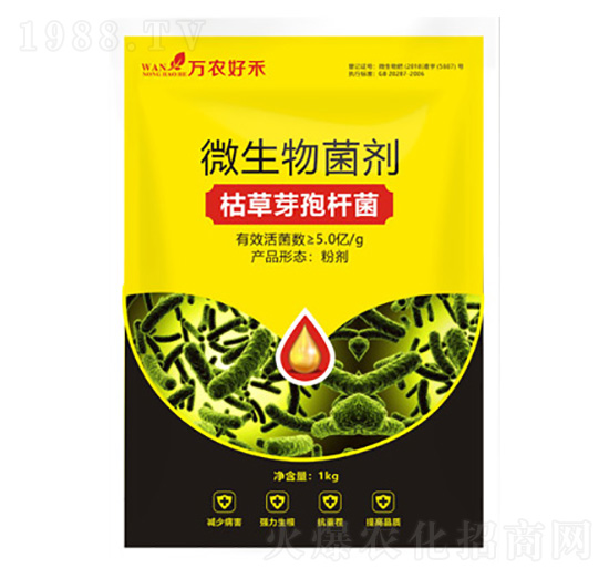 �ݲ�ѿ�ߗU��-��֮��