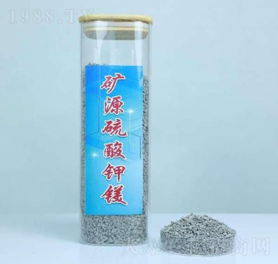 �VԴ������V���w����-ʥ��-�����r�I(y��)