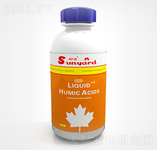 Һ�B(t��i)��ֲ��-�²��J-���(y��ng)����