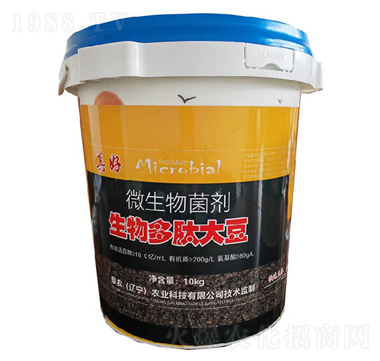 ������Ĵ�΢�������-���-���r(n��ng)