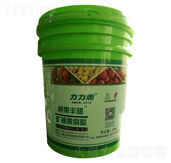 �VԴ�S����-�����S��-���������B(t��i)