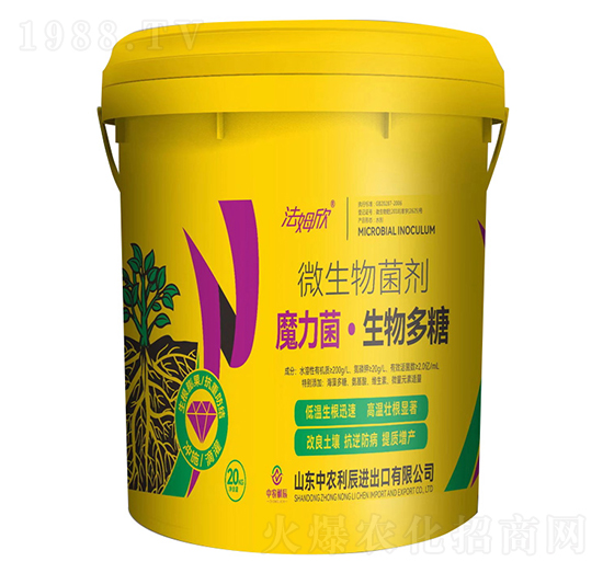 ΢�������-ħ�������������-��ķ��-���r(n��ng)����