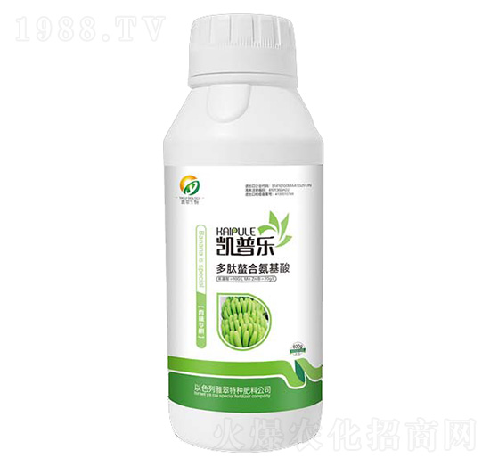 �㽶���ö������ϰ�����-�P�՘�-�Ŵ�����