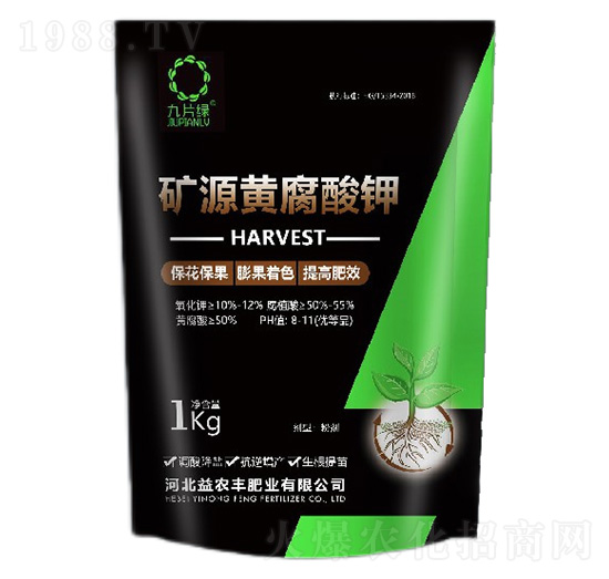 �VԴ�S�����-��Ƭ�G-���r�S�ʘI(y��)