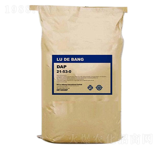 Ӣ���M�ھ�Ʒ����21-53-0--���°�