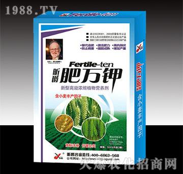 ���f(w��n)�С�����b