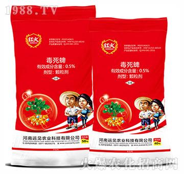 ��������ˎ��-0.5%