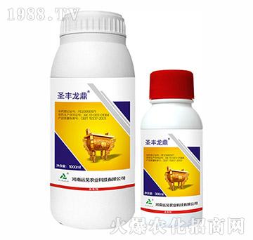 5%���S����-ʥ�S����-�h(yu��n)Ҋ(ji��n)�r(n��ng)�I(y��)