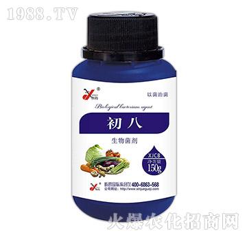 �������-����-꿾�