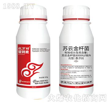 �K�ƽ�U��-�ܵ���-���˹����r(n��ng)��