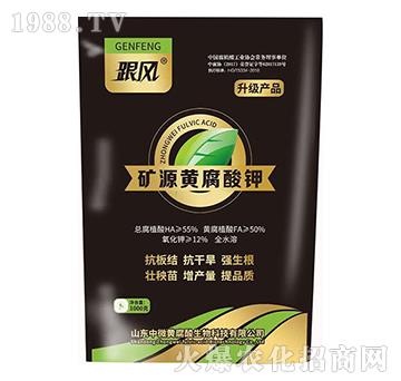 �VԴ�S�����-���L(f��ng)-��΢