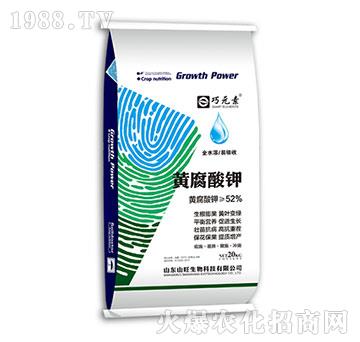 �S�����-��Ԫ�أ�20kg��-ɽ������