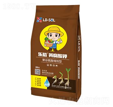 �۹Ȱ�����Ч�͘����S�����-����ʩ