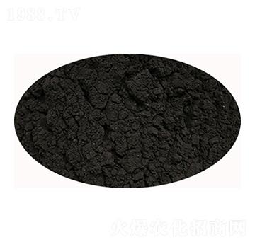 ��ֲ��-ʥ��һ��