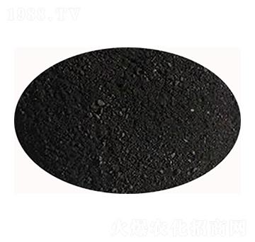 ��ֲ���-ʥ��һ��