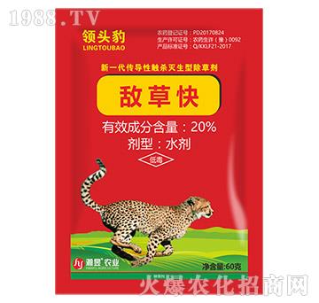 20%敵草快-領(lǐng)頭豹60克-瀚昱