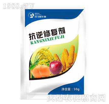 �����ޏ̈́�-������