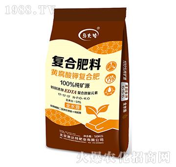 �S����⛏ͺϷ�17-1