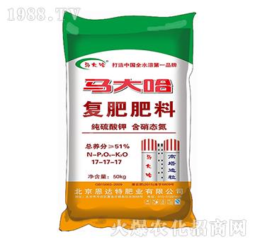 �ͺϷ���17-17-1