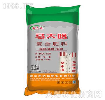 ���������ͺϷ���28-