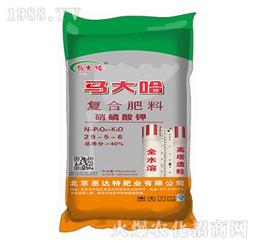 �����ͺϷ�29-5-6