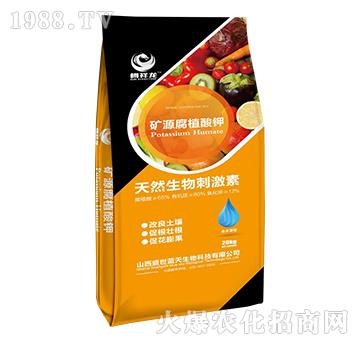 �VԴ��ֲ���-������-ʢ���{��