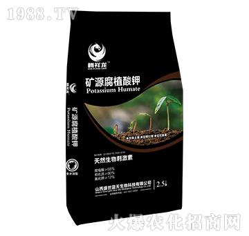 2.5kg�VԴ��ֲ���-������-ʢ���{��