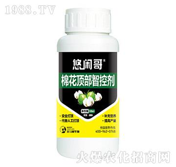 �޻�픲��ǿ؄�-���e��-������