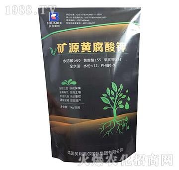 �VԴ�S�����-�����S