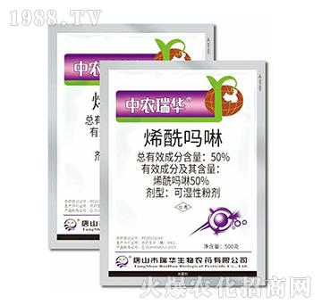 50%ϩ������-���A����