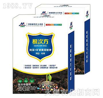 ����+�VԴ�S�����-���η�-��ķ˹��