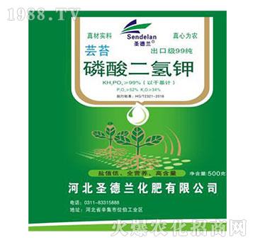 ��������-ʥ���m