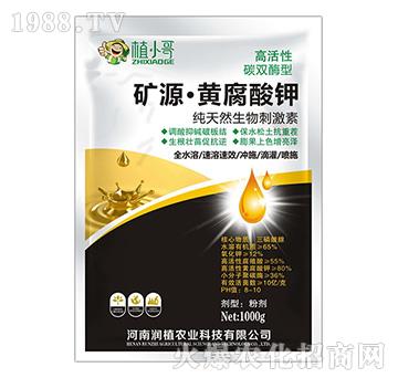 �VԴ���S�����-��ֲ