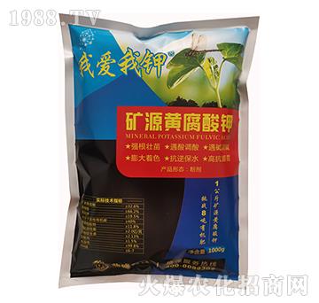 �VԴ�S�����-����ʢ�r(n��ng)