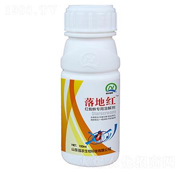 �t֩�댣���ܽ℩-��ؼt-���r