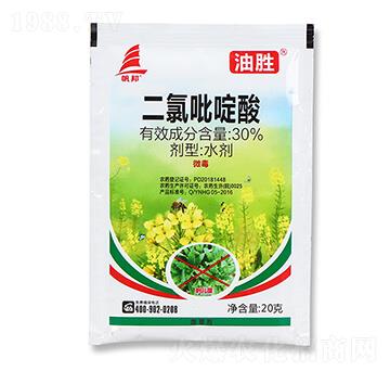 30%���������-�̈́�-ϲ�S��