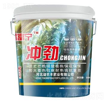 �_��-�׸���-���r(n��ng)�S�ʘI(y��)