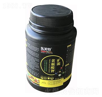 �VԴ�S�����-������-�ŵ�����