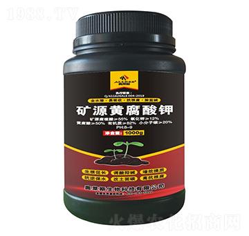 �VԴ�S�����-�W�R˹