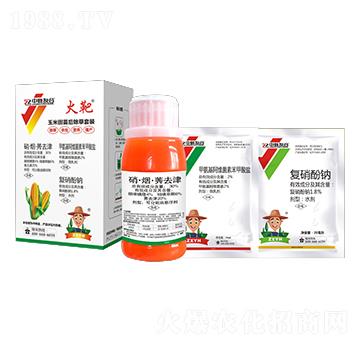 �����������݄����b ��� �����Ѻ�