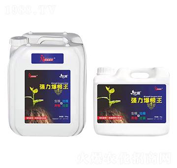 強(qiáng)力爆根王-葉媚-榮鑫植保