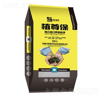 �ͺϵ����S�����-ֲ����-���rʢ��