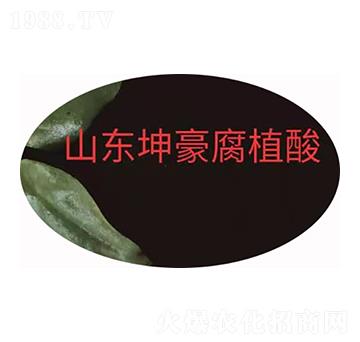 �۠��S����� ����