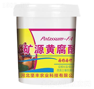 �VԴ�S�����-���S�r�I(y��)